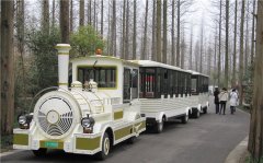 無軌小火車多少錢一輛？掙錢嗎？