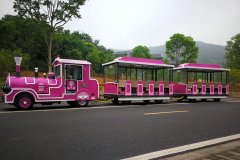 無軌小火車的注意事項(xiàng)及選擇