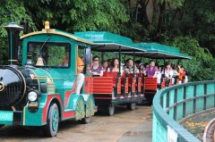 淺談景區(qū)觀光小火車的市場前景