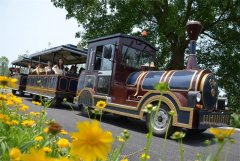 觀光小火車(chē)的輪胎常規(guī)保養(yǎng)方法